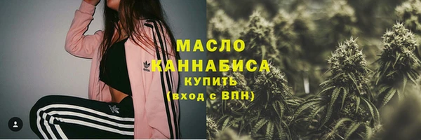 молекула духа Новодвинск