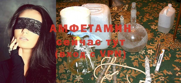 индика Новокубанск