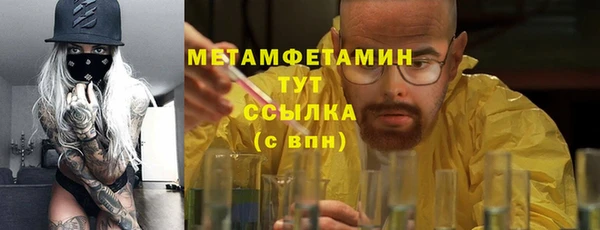 индика Новокубанск