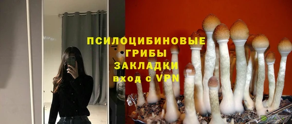 индика Новокубанск