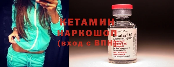 гашик Сосновка