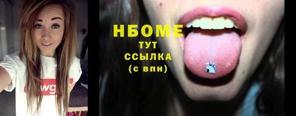 индика Новокубанск