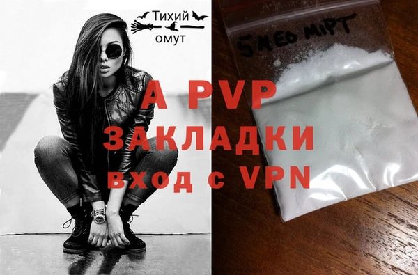 индика Новокубанск