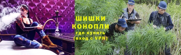 индика Новокубанск