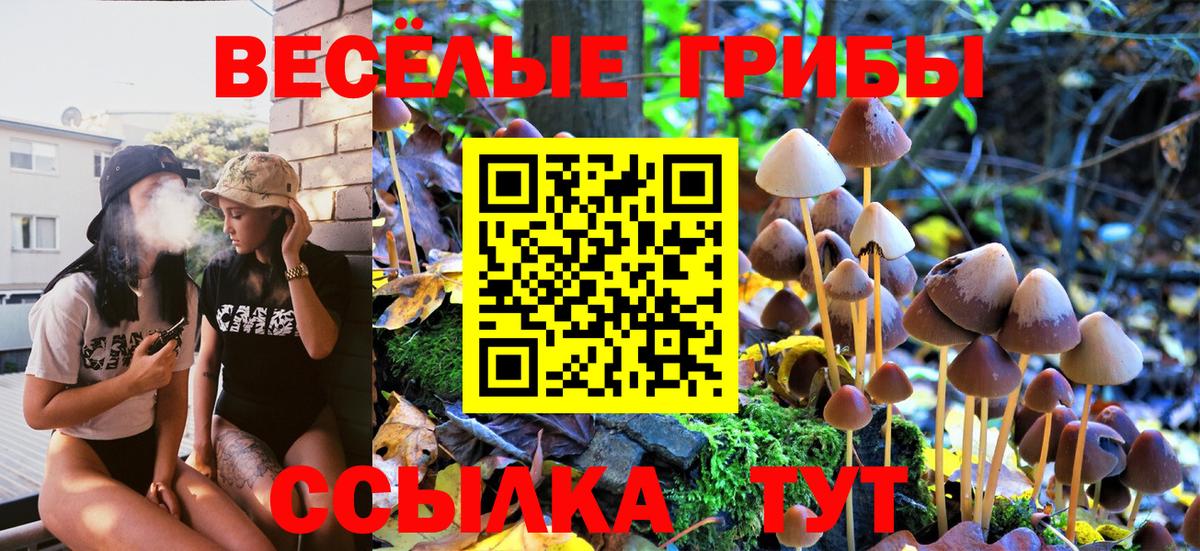Нягань  Псилоцибиновые грибы GOLDEN TEACHER  Вход с VPN  Галлюциногенные грибы Psilocybe 