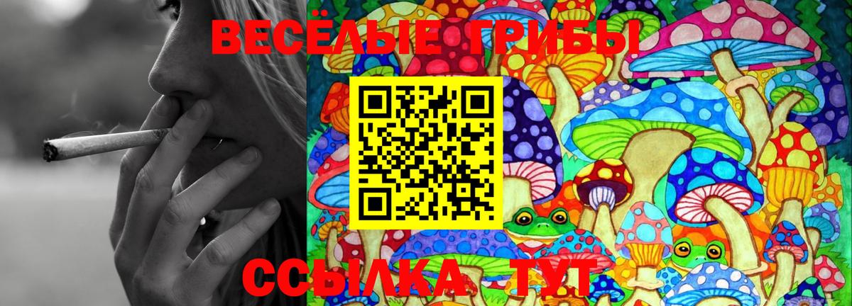 Псилоцибиновые грибы MAGIC MUSHROOMS Нягань